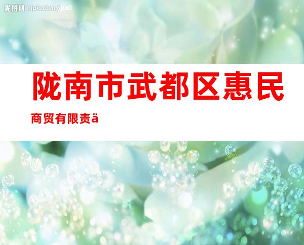 陇南市武都区惠民商贸有限责任公司